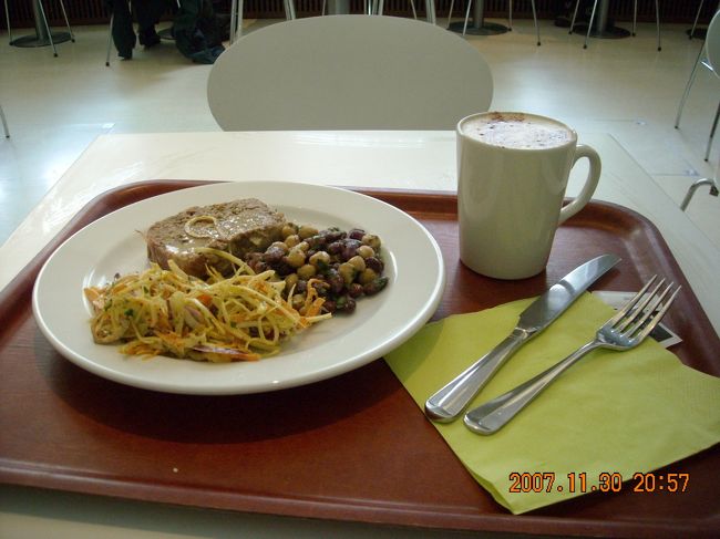 腸の具合が悪くとも胃は空いてくる。<br /><br />混み始める前にV＆Aの雰囲気が良いカフェで昼食。<br /><br />ホットミールにしようかと思ったのだが，ケースに並んだ巨大なパイ等を見て萎え。結局デリのミートローフとサラダ２種(豆のミントドレッシングらしきもの＆玉葱のサラダ)(£6.75)とカプチーノ(£2.10)の昼食(何か普段だったら有り得ない組合せ)。サラダの味が微妙。量的には適量だが，たっぷりの朝食のせいと早めの昼食と言う事もあってか半分程残す。