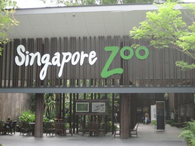 シンガポール２日目。<br />この日は、前回行けなかった動物園を訪れました。シンガポール動物園へは、ＭＲＴのAng Mo Kioで下車。さらにＳＢＳ138番バスに乗りSingapore Zoological Gardenで下車します。バスを降りると、すぐに入り口が目に入ります。<br />
