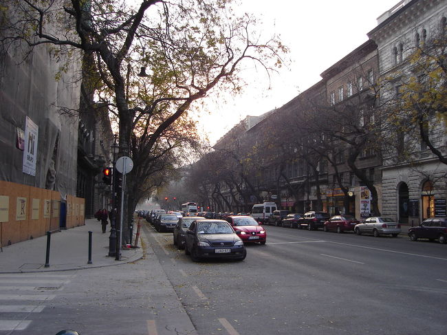 オペラハウス前のアンドラーシ通りです。街路樹がいい雰囲気です。この通りにもおしゃれ建物が多そうです。時間があれば見ていきたいが・・。残念！