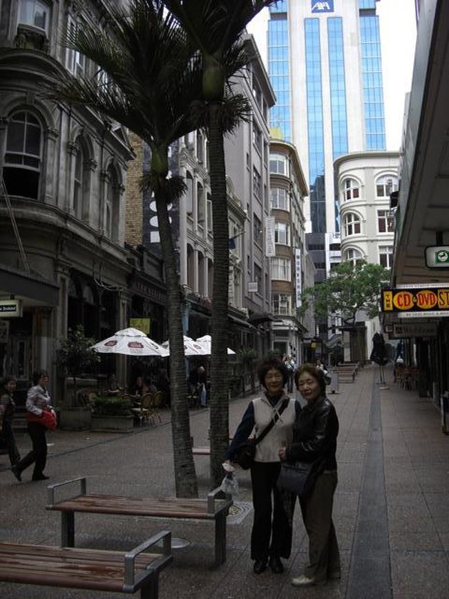 オークランドのおみやげ物屋さんがいっぱいありました。