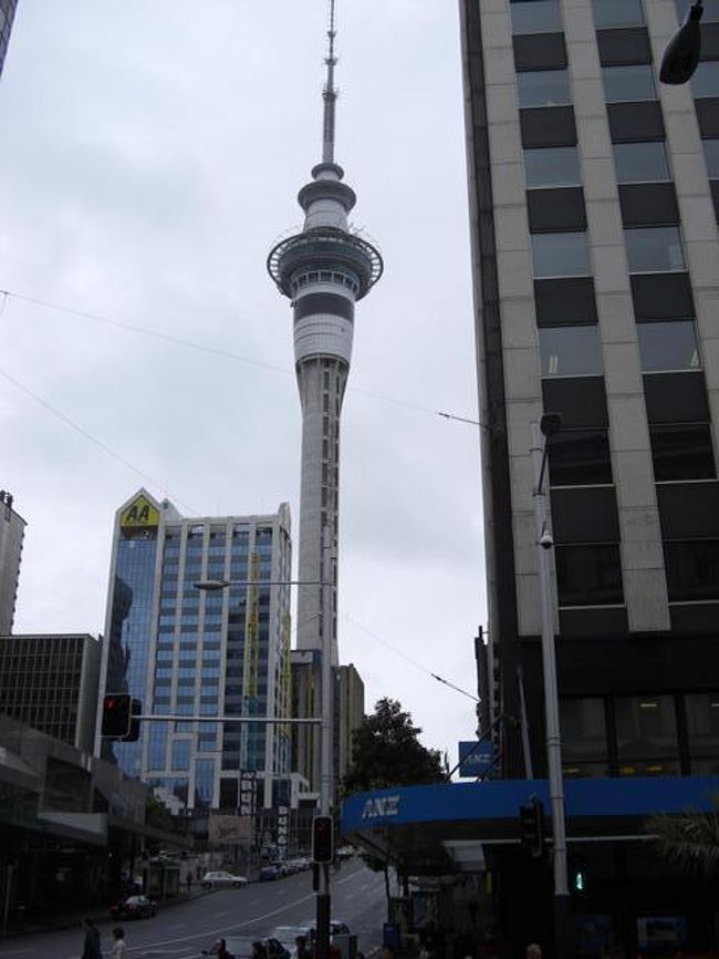 オークランドタワー<br />散策していて、結構目印になる。