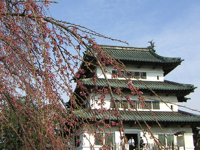 ４月２６日<br />弘前<br />重要文化財に指定されている城跡公園に、ソメイヨシノ、枝垂れ桜などたくさんの種類の桜が何と２６００本・・どの木も蕾が膨らんでいたけど、咲いていたのはひとつ、ふたつ・・残念！<br />