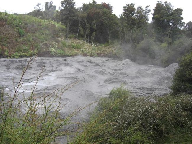 坊主地獄みたい。