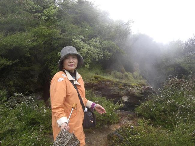 道端の岩場からも湯気が・・・<br />地熱を感じます。