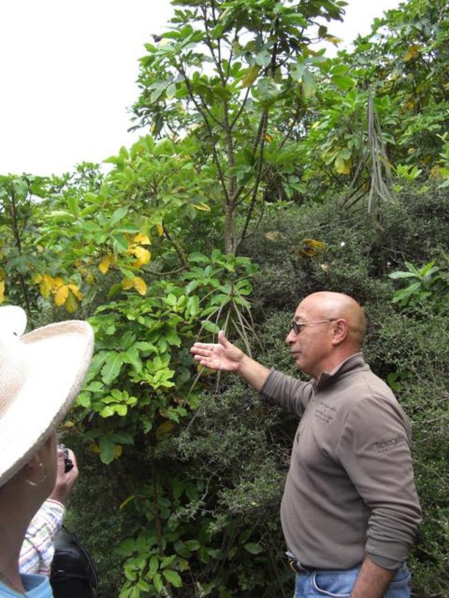 この島を守ってきたマオリ族のジョンさんが島を案内。<br />野草として利用できる植物もいろいろと説明してくれる。