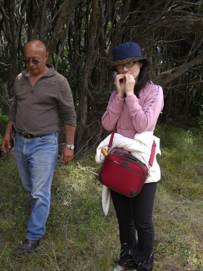 スパイスリーフを噛んでみる。