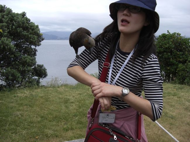 ケアが私のクッキーを狙っている。<br />いやぁ！