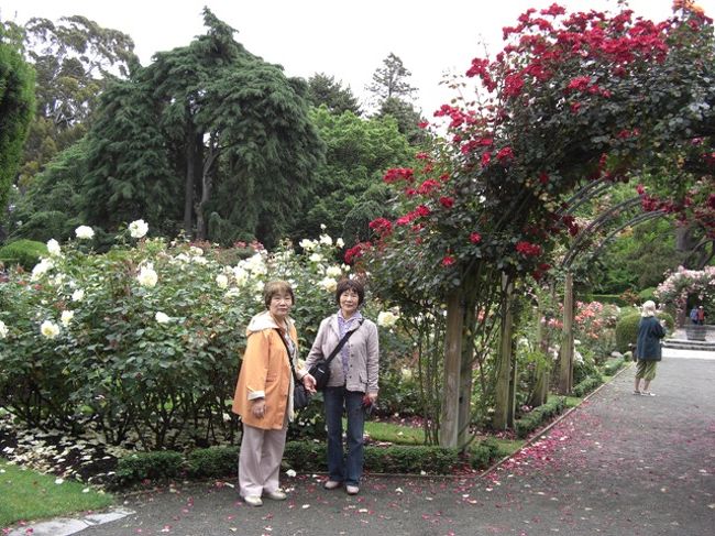 クライストチャーチの植物園<br />かなり広大だが、きれいに整備されている。<br />入場無料なんだけど・・。ここでも野鳥の声が響き渡る。