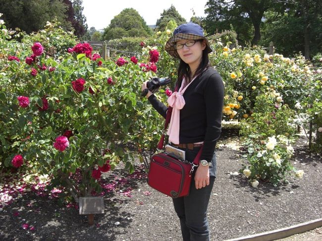 ダニーデンの植物園。
