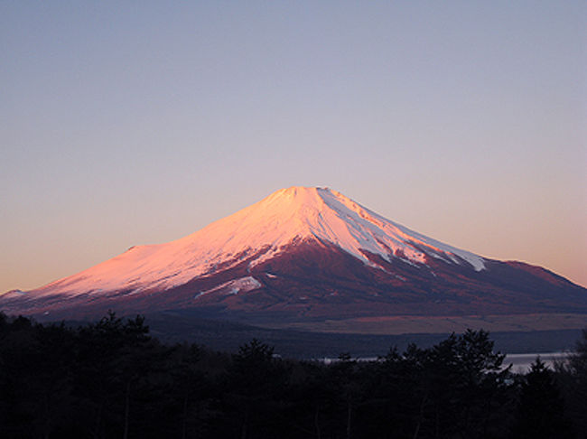 雪をかぶった部分がほぼピンク色に。