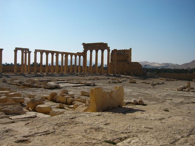 ベル神殿側から外を撮りました。この柱はかつては、ぐるっと神殿を囲んでいたのでしょうか。