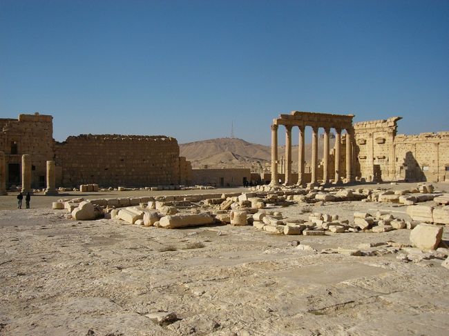 広いですね〜〜パルミラ遺跡は世界最大の広さだそうです。