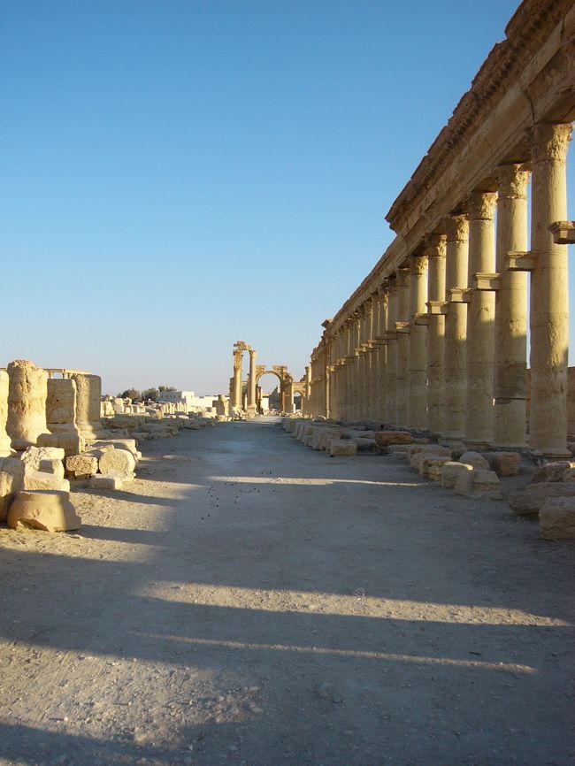 通称列柱通りです。遺跡って感じがしますね〜〜