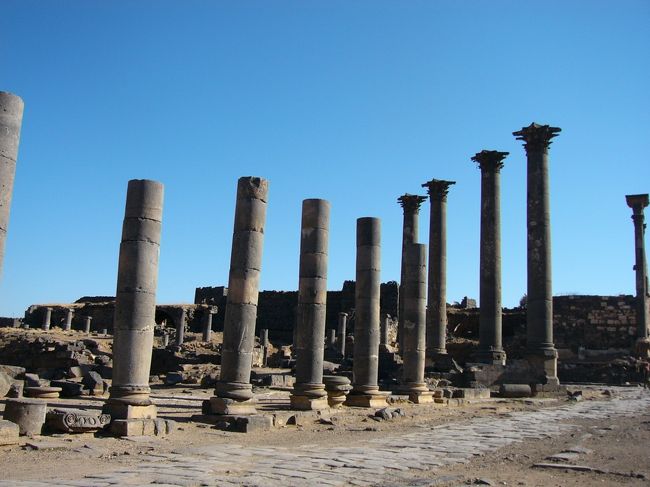 すすで黒くなったんじゃないよ〜もともと黒いんです。