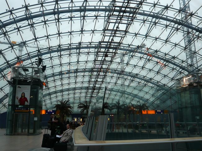 なぜ南国っぽい木が…？