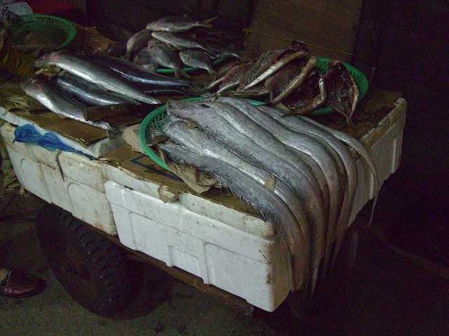路地裏の魚屋さん<br /><br /><br />路地裏ではこんな風に魚も売られていましたよ。<br />そう、釜山（プサン／Busan）は魚介類も有名ですが、今回は時間がないためチャガルチ市場（チャガルチ=シジャン／Jagalchi-sijang）などはカットするといった感じになってしまいました。<br />一応計画にはあったんですけどね・・・ <br />
