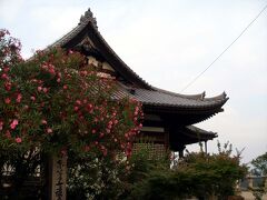 福禅寺（ふくぜんじ）は、広島県福山市の鞆の浦にある真言宗の仏教寺院。山号は海岸山、院号は千手院。境内は「朝鮮通信使遺跡鞆福禅寺境内」として国の史跡に指定されている。

創建は平安時代の950年頃と伝えられる。 現在の本堂と隣接する客殿（対潮楼）は江戸時代の1690年頃に建立された。

江戸時代を通じて朝鮮通信使のための迎賓館として使用され、日本の漢学者や書家らとの交流の場となった。 1711年に従事官の李邦彦が客殿からの眺望を「日東第一形勝（朝鮮より東で一番美しい景勝地という意）」と賞賛し、1748年に正史の洪啓禧が客殿を「対潮楼」と名づけた書をのこす。

