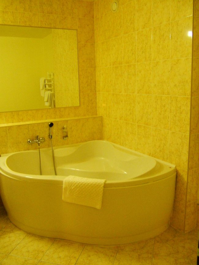 二人部屋なはずなのに何人部屋！？ってぐらいの広い部屋でした。バスもメチャクチャでかい！！！