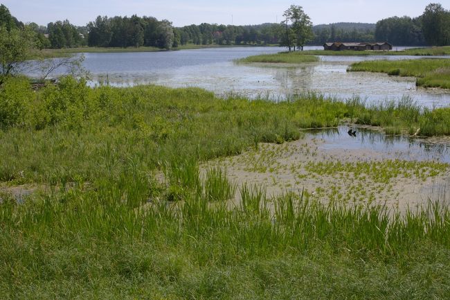 アーライシの要塞跡。<br />復元されたものだけど、９世紀バイキング時代のラトガレ人が造った湖上の要塞。<br />(入場料：2Ls)<br /><br />売店で水(0.30Ls)と昼食のパンとジュース(0.48Lt)を買う。