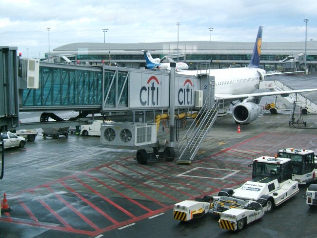 さらば中欧と思いながら飛び立っていきました。