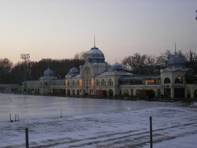 ここは池だよ。<br />全面凍結なの。