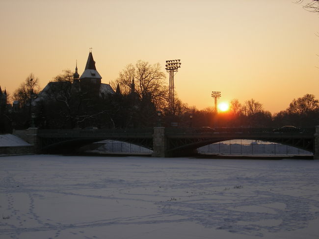 そうこうしているうちに<br />お日様が顔を出したの！(^_^)v