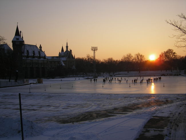 わーい！<br />グーちゃんにとって<br />これは１日遅れの初日の出なの！！