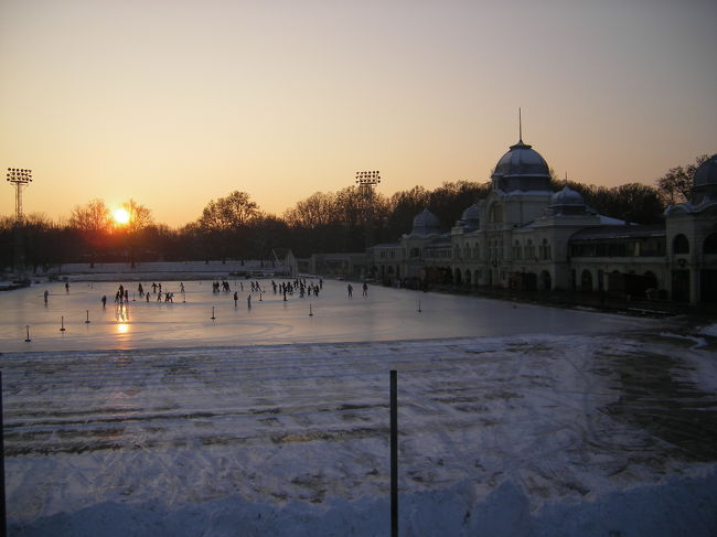 チビッコ達も<br />スケートの朝練に出てきたの。