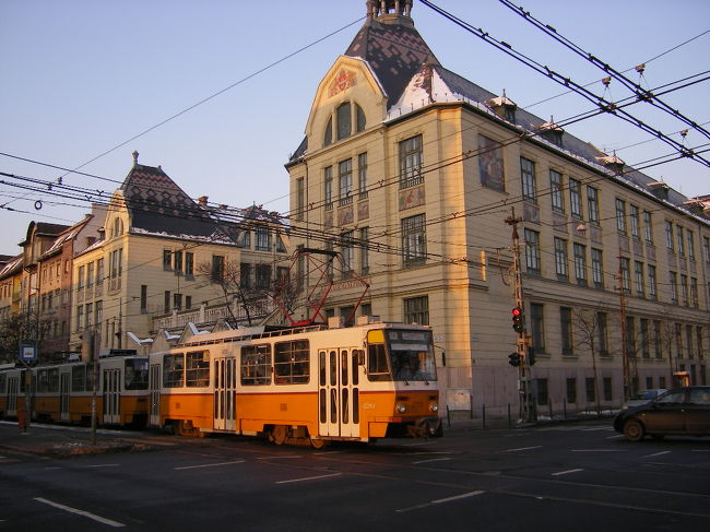 こっちは路面電車。<br />いろんな乗り物があって楽しいよ。<br />ヽ(^o^)丿