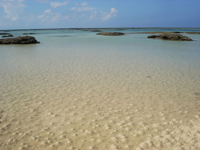 こーんな景色。<br />うつくしや〜。