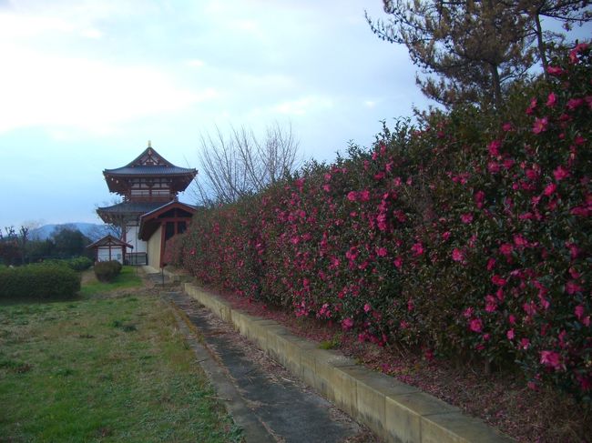 新春の古都　奈良（★世界文化遺産：唐招提寺～平城京跡）