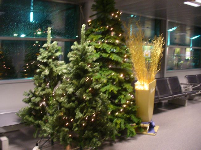 ヘルシンキヴァンター空港ではこんなかわいらしいツアーがお出迎え。12月30日でしたが、まだまだこちらはクリスマスです。