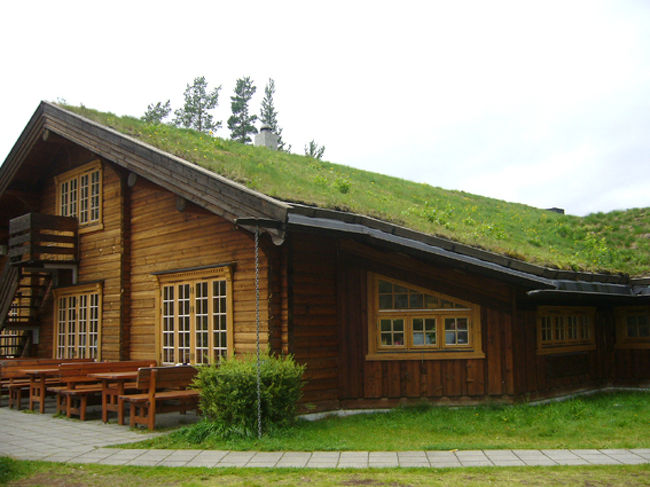 食事の後はフィヨルド地方に向かって長い長いドライブ。景色は木々と時々湖。寝るしかない。<br />途中、寄ったドライブインの屋根の上には草が生えていた。防寒のためらしい。