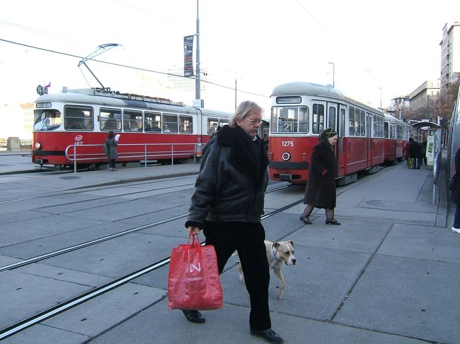 街を散策。ガイドさんによりますと確かこの辺りも昔は川だったとか言っておりました。