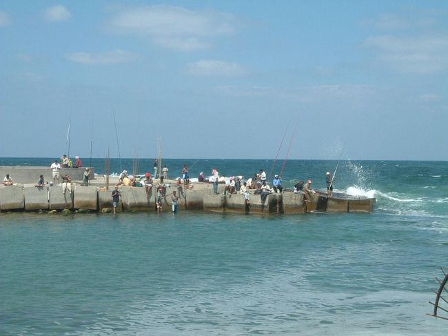 みんなそこで釣りしていました。<br /><br />何が釣れるのかな？