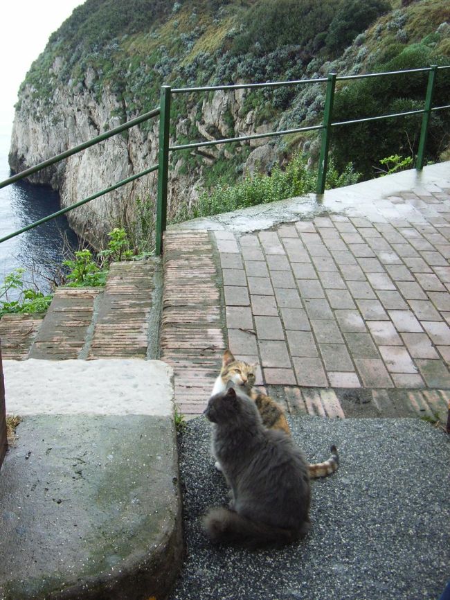 陸路で行った「青の洞窟」バス停にいた子たち。この手すりの階段を下りていくとすぐに洞窟の入り口が見えます。洞窟へ入るボートに乗るとすぐ洞窟です。時間の余裕があるなら陸路の方が海上での待ち時間が少なく、楽ですね。