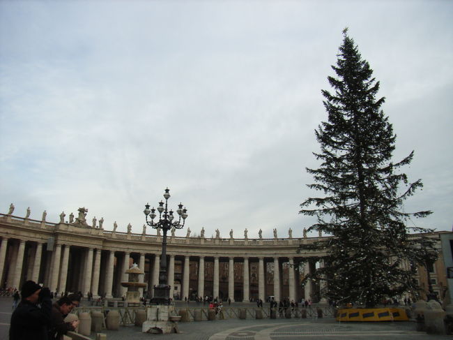 サンピエトロ広場のクリスマスツリー