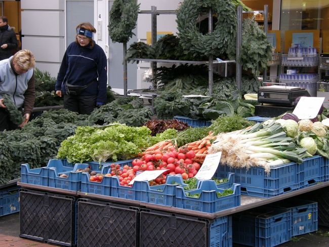 おいしそうな野菜がたくさん！