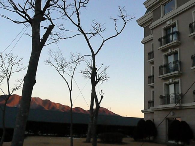 お部屋前のお庭から撮りました