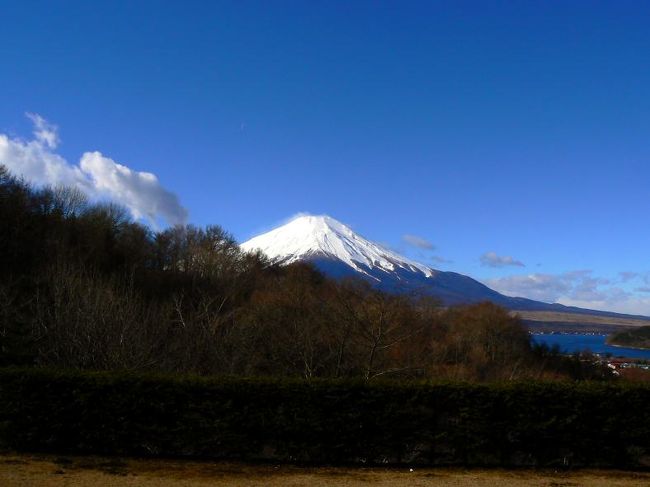 お部屋の前の庭から写真を撮ります
