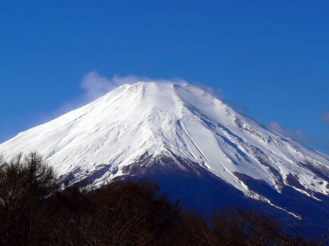 晴れていますが、風が強いようです