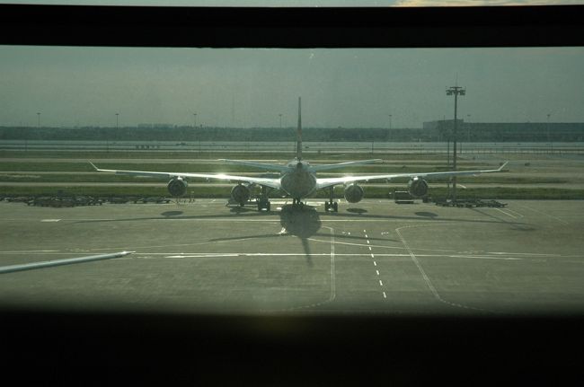 飛行好きのワタクシが一番好きな機体、エアバスA340のバックショットです。どこから飛んできたのか知りませんが浦東空港で翼を休めていますね。<br /><br />細くて長い主翼に4つのエンジンのバランスが最高です。通称ジャンボのボーイング747はずんぐりむっくりですが、このA340は美しい！。日本への就航便が少なくて乗ったことがないのですが、エンジンも静かで乗り心地が良いとの評判です。離陸する姿はまさに湖畔を飛び立つ鶴のように羽をしならせて浮き上がります。<br />ワタクシは天秤座なのでバランスが取れているのを見ていると安心するのです(^_^;)