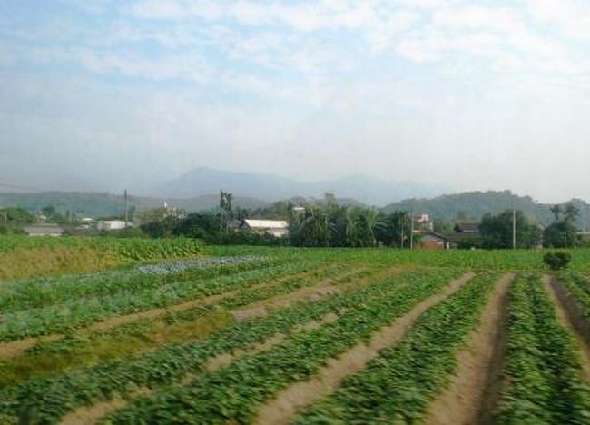 嘉義駅付近<br />植生は、バナナやサトウキビ畑などの亜熱帯。