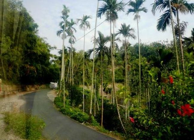 徐々に高地に入っていきます。