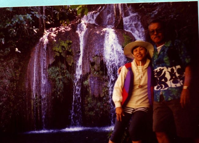 支流に入ると両側は、木々が生い茂り水の色が濃い。