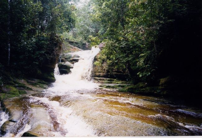 つるにつかまって河に飛び降りたり、ゴンドラ代わりに向こう岸に移動したりしてあそんだ。