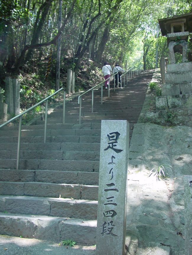 第１０番札所　切幡寺（きりはたじ）　長い階段<br />山門から３３３段。切幡山（１５５Ｍ）にある寺。ショートカットして、駐車場から歩いてもあと２３４段ある。<br />四国遍路は長い階段がなんと多いこと！