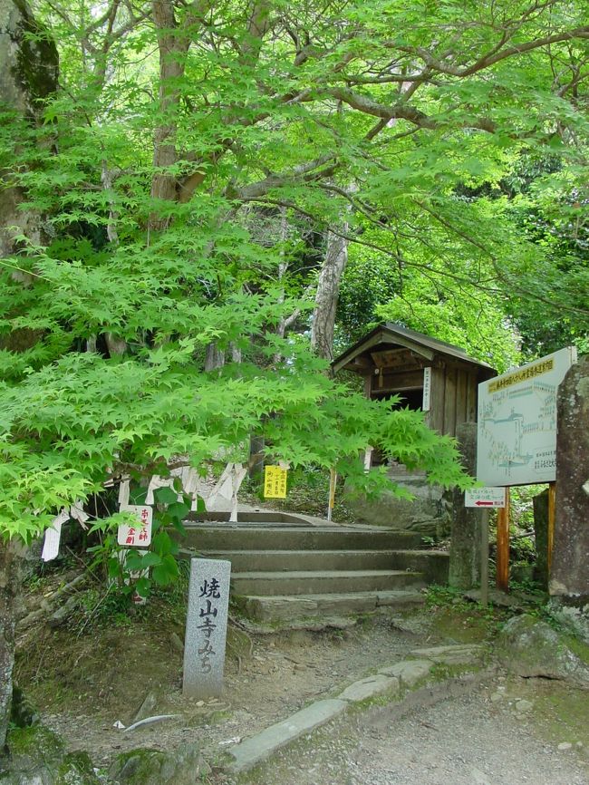 １１番札所　藤井寺から、１２番札所　焼山寺まで、歩き遍路はこの道を通ってゆく。ここから山道を歩いて８時間かかるという。遍路道の中で一番の難所。