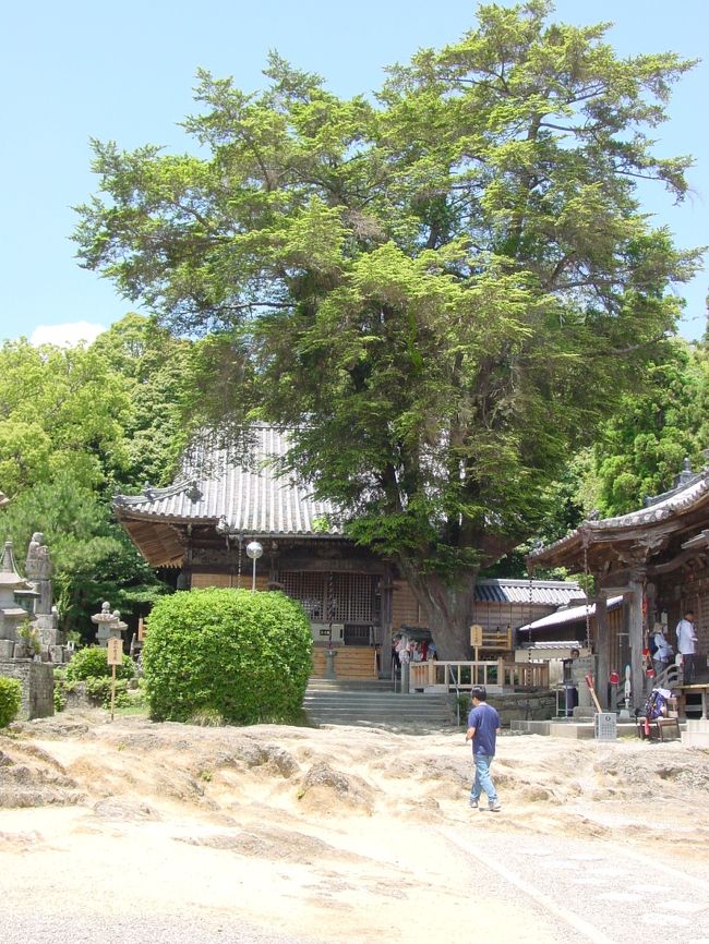 第十四番札所　常楽寺（じょうらくじ）　流水岩の庭園<br />大岩盤上に本堂が立っているとても見ごたえのある庭園。天然記念物として認定されないのは、風雨によってどんどん形が変化し続けているからだという。<br /><br />