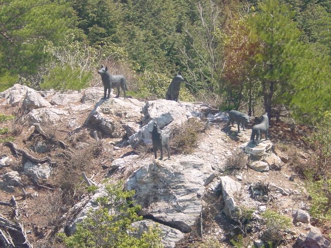 第２１番　太龍寺（たいりゅうじ）太龍寺ロープウェイ　<br />山麓駅からロープウェイで山頂へ。眼下の那賀川を渡り、景色が平野から次第に山中へと移る。突如岩場に狼の群れを発見した。シャッターチャンスだ！というのは冗談で、これらは日本狼の銅像。